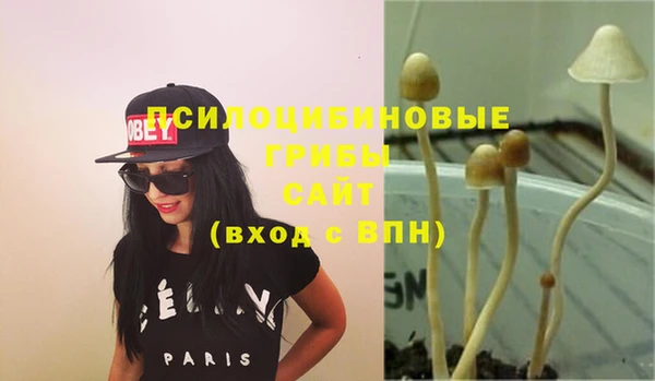 меф VHQ Гусев